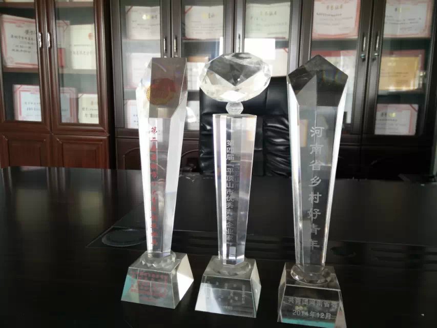 舞钢市食用菌开发公司成立